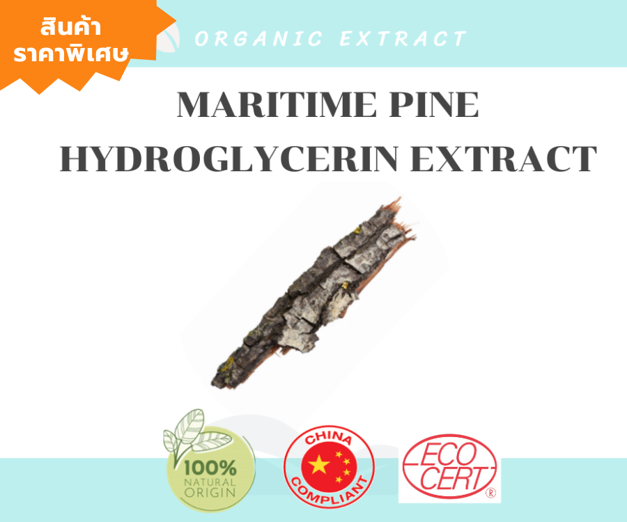 Maritime Pine Hydroglycerin Extract สารสกัดOrganic จากเปลือกสน อุดมด้วยสารต้านอนุมูลอิสระ และสารต้านการอักเสบ 